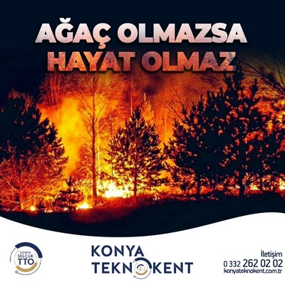 AĞAÇ OLMAZSA HAYAT OLMAZ